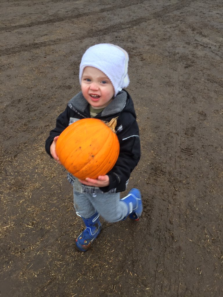 JOConnorHWDSB's tweet photo. π Perfect day for a visit to the pumpkin patch! #FlamOnt #RhubarbMuffins #HanesCornMaze π #TinyShopBakery π₯§ https://t.co/FTdK8KMVNz