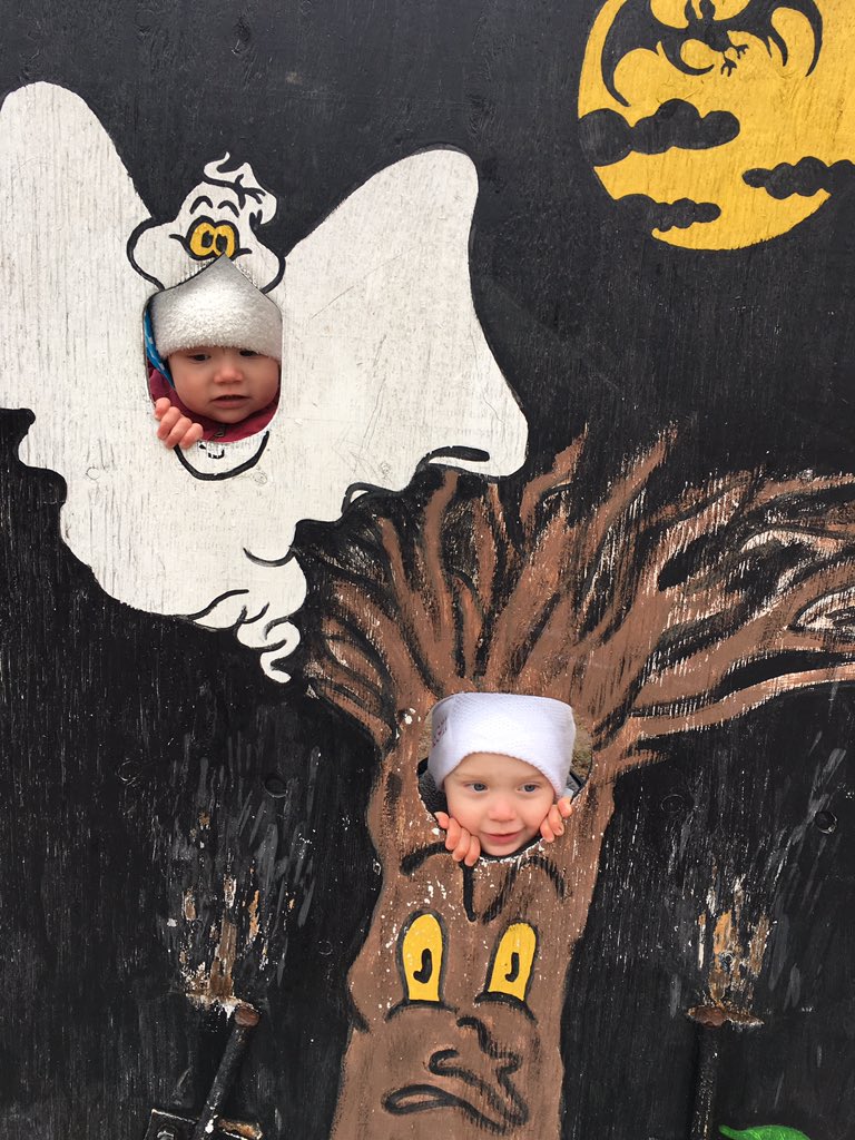 JOConnorHWDSB's tweet photo. π Perfect day for a visit to the pumpkin patch! #FlamOnt #RhubarbMuffins #HanesCornMaze π #TinyShopBakery π₯§ https://t.co/FTdK8KMVNz