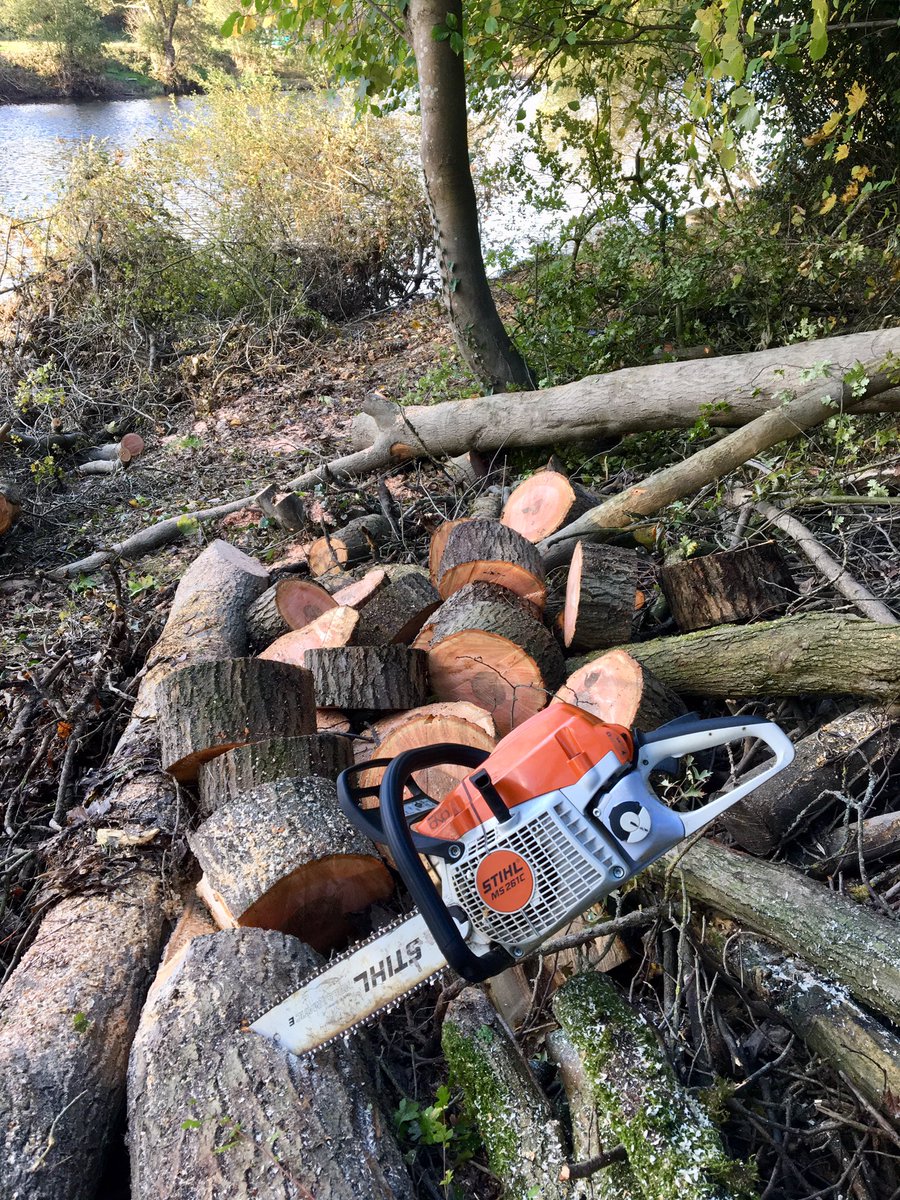 Reopening riverside footpath at Hay on Wye, still clearing up after Storm Callum. Stihl MS261C perfect for the job. #MyStihlOffice #chainsaw #stihl #hayonwye #riverwye #footpath #countryside #powys #wales #riverside #StormCallum #fallentrees