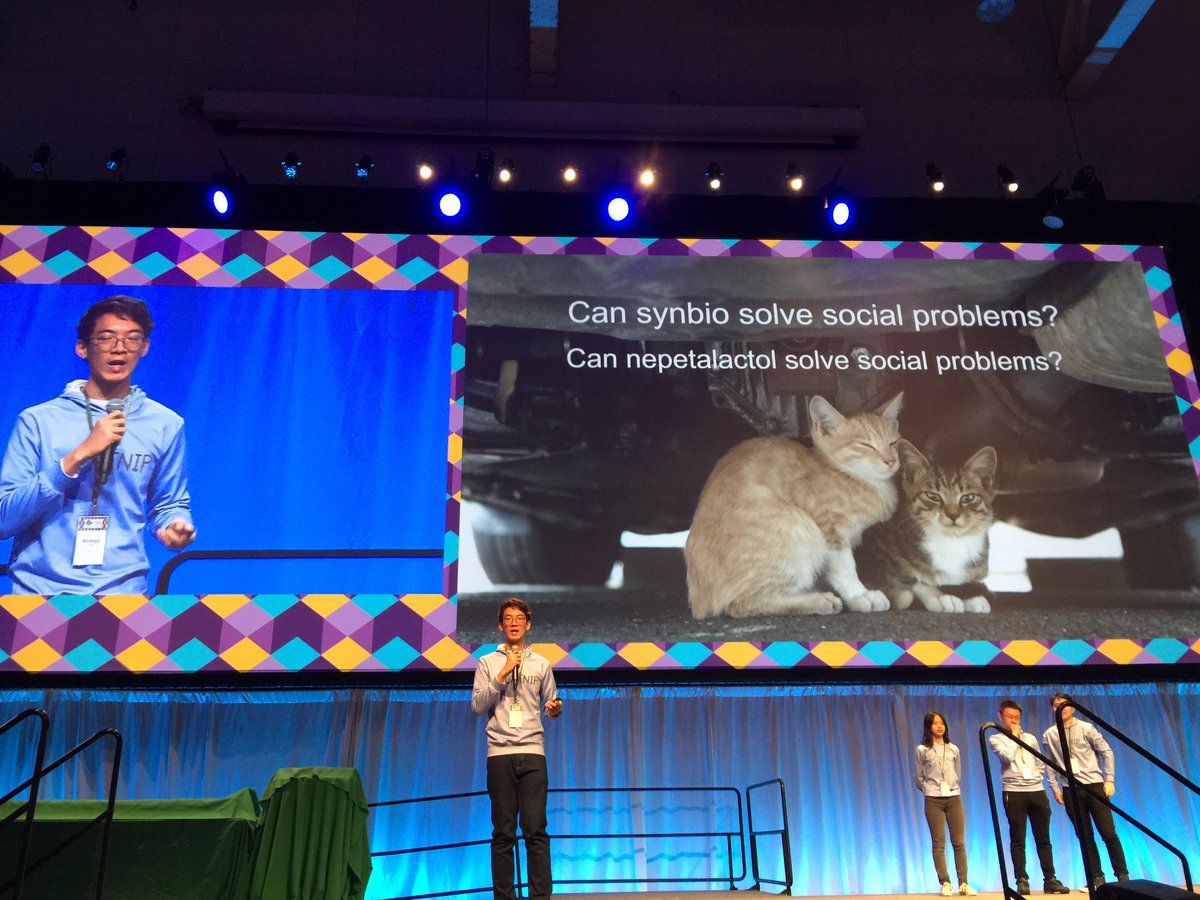iGEM's tweet image. @Igem2018C collaborated with a cat shelter as part of their #HumanPractices #iGEM2018 #GiantJamboree