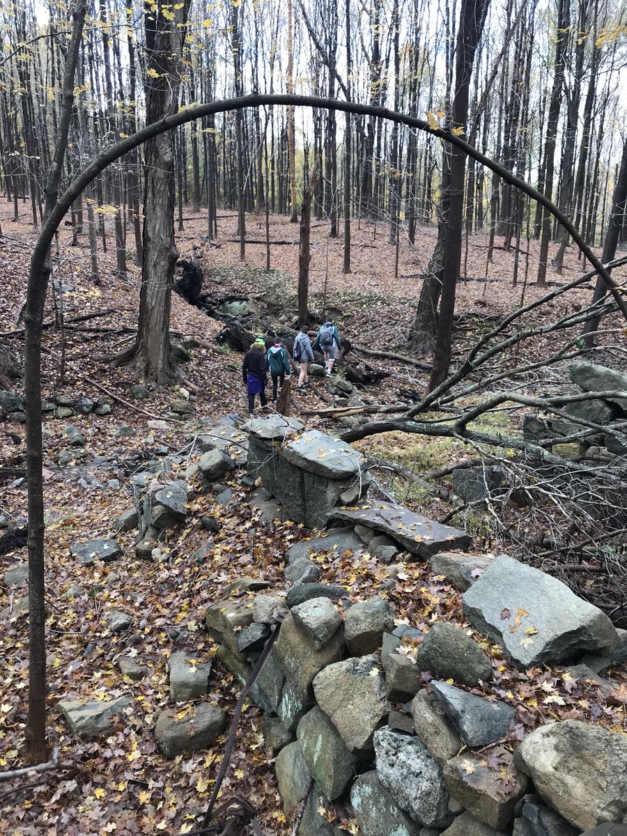 Sarah Lawrence Cross Country tweet media