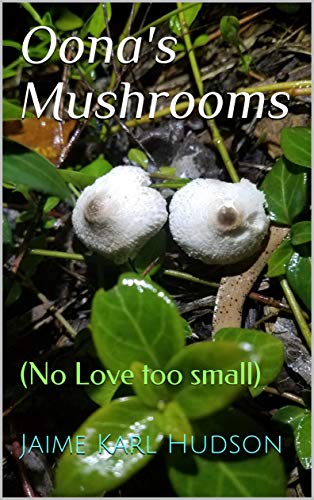 MoonMusicMan's tweet photo. #Free #Kindle - a #Fantasy #Love #Story - Believe in Magic!!!
https://t.co/zdaQsBiLLq https://t.co/PzK7xdDRzc
