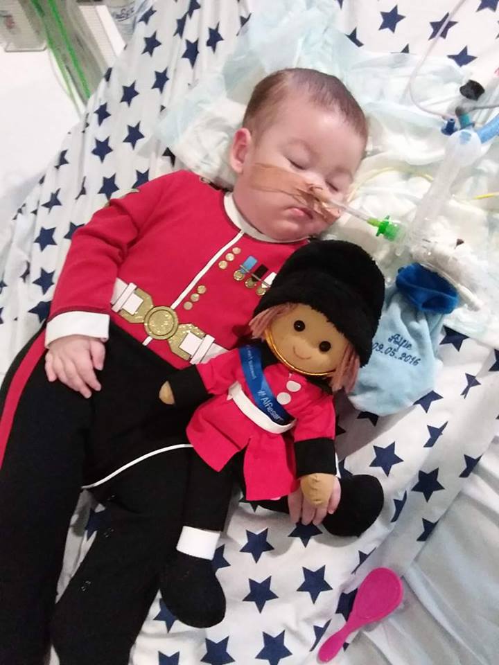 #ALFIESARMY (@alfiesarmy16) on Twitter photo 6 months today since you gained your Angel wings Alfie. Sorely missed and very much loved always xxxxxx 6 months today since you gained your Angel wings Alfie. Sorely missed and very much loved always xxxxxx