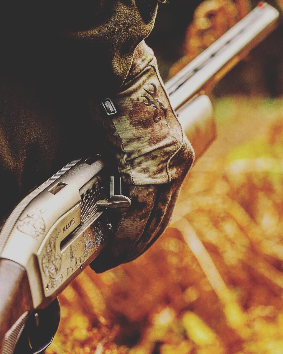 Loving the autumn colours today, bit cold though but that's expected!!