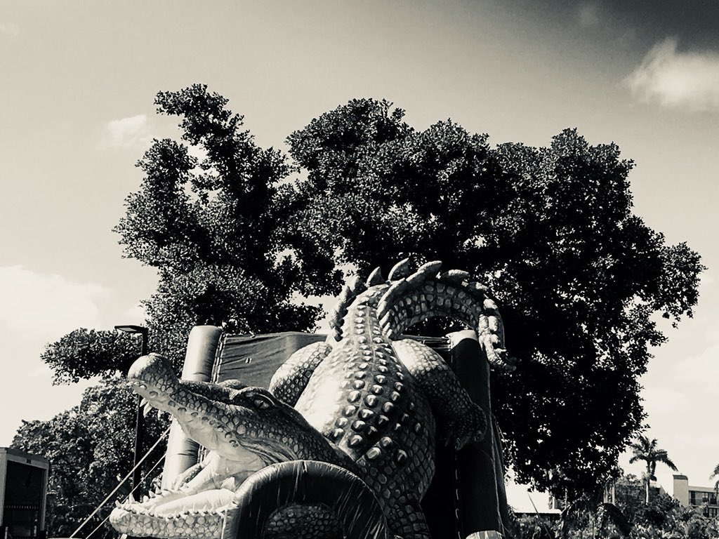 gabyralmeida's tweet photo. Seven days of black and white photos of your life.
No explanation 
No humans (Well, no closeups)
#bwchallenge 

I was nominated by @CrisMagaletti, 
I challenge: @bico_sensei 

Day 6 https://t.co/G2IueZx5p5