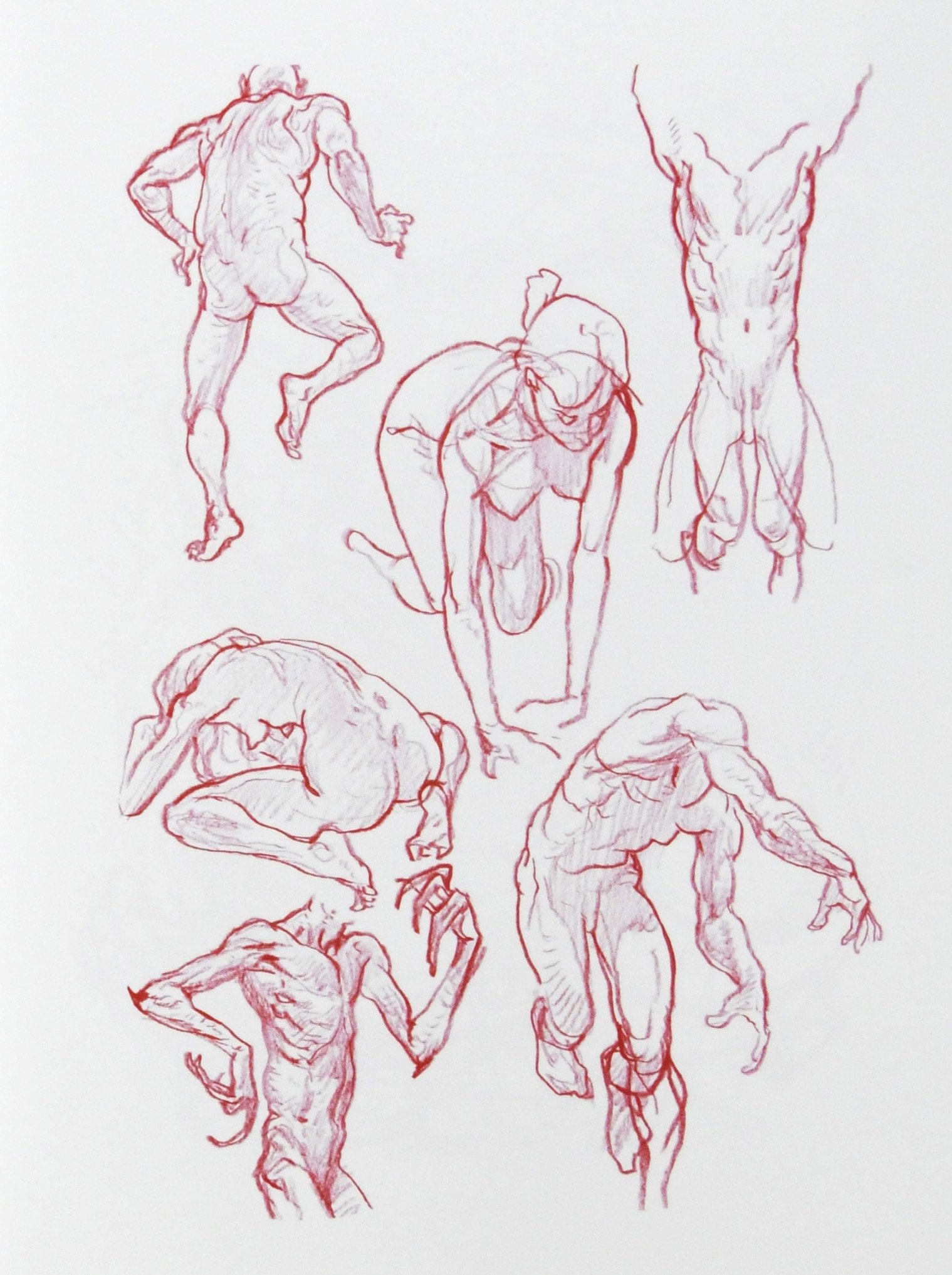 JungGi Kim LIVE on Twitter: "Anatomy in red By Kim Jung Gi