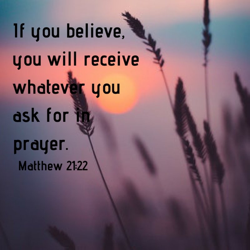 JesusSocialNet0's tweet photo. If you believe, you will receive whatever you ask for in prayer.
- Matthew 21:22

Take part in our faith-based community. Visit https://t.co/49BmGzCqhL and sign up now! https://t.co/azre1eMk5W
