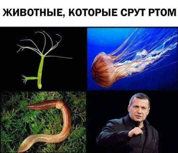Yan Argunsky (@999argunsky) on Twitter photo 