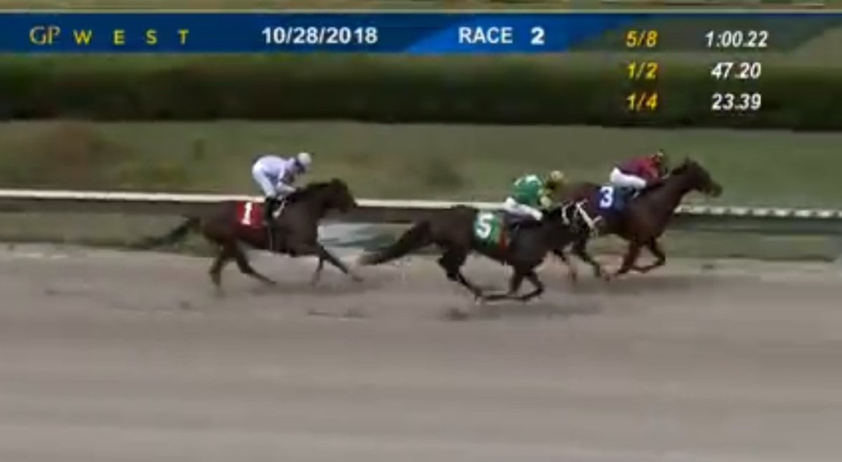 CaribePalma's tweet image. #Hipismo 
#3Before resiste y triunfa en gran forma en la 2da de #GPWest , yunta @rrordonez07 y Eduardo Azpurua, velo por aquí..
youtu.be/vP2uuDvfi08