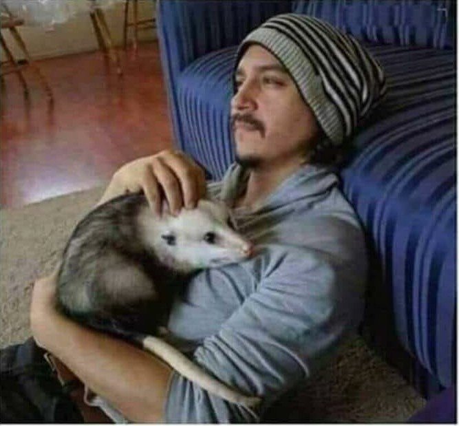 "My two hobbies are smoking marijuana and rescuing stray cats."