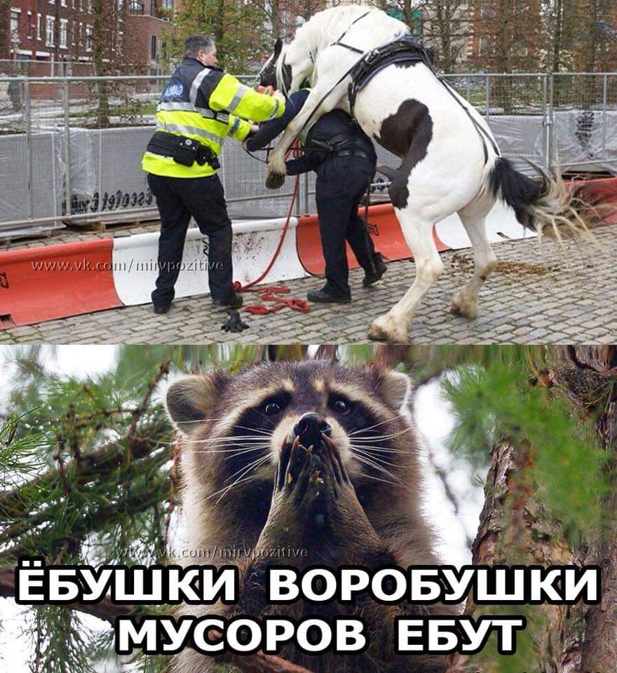Yan Argunsky (@999argunsky) on Twitter photo 