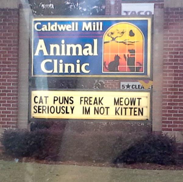 This sign is purr-fect! #funnysigns
