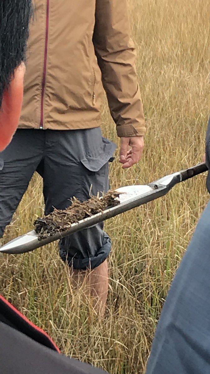 aml219lehigh's tweet photo. Some nice stratigraphy in our core samples near the barrier islands of Island Beach State Park #ees115 #ees152 https://t.co/0XOIoRnLCW
