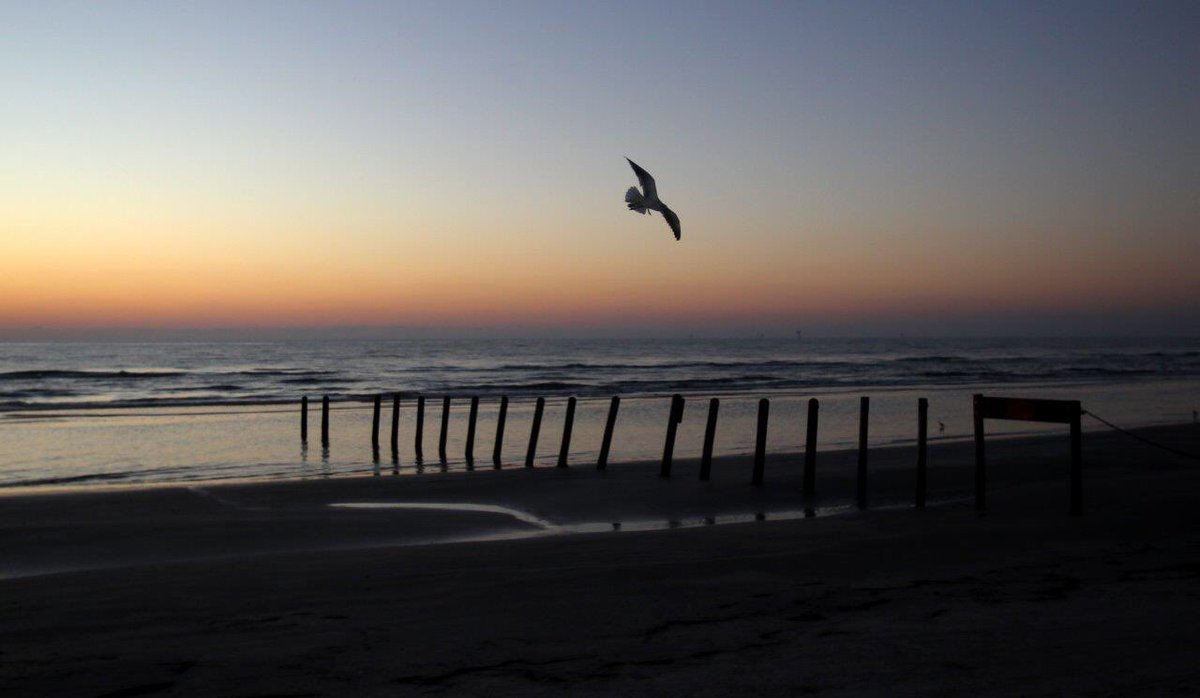 DavidJosephSike's tweet image. Whitecap Beach at dawn @callerdotcom @callersports