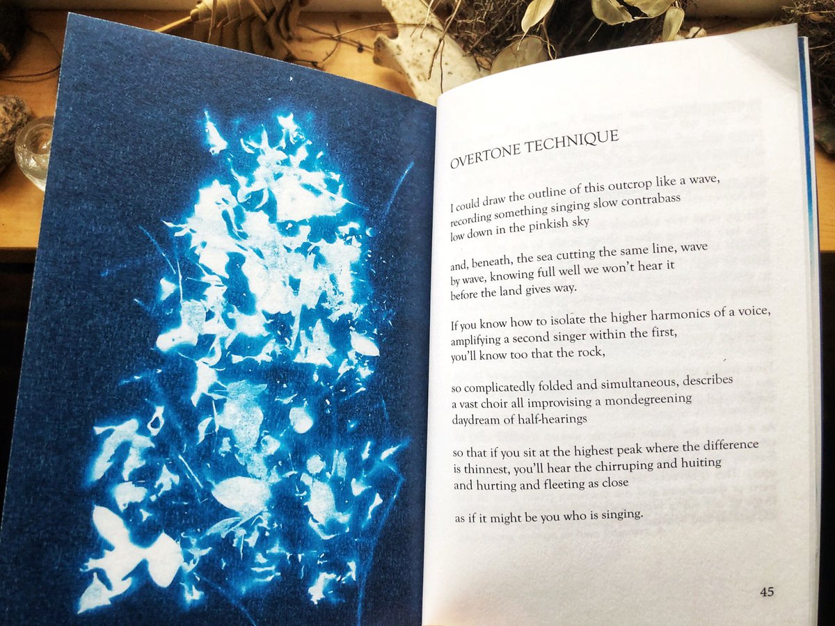 readinganimal's tweet photo. Received this remarkable collection of poems, field notes and songs on Friday from @hollycorfield. Subsong is beautiful book in every sense. The perfect companion for a walk in any wood or a rainy day by a window with a view. Thank you, Holly. It’s a wonder! @NTBooks https://t.co/qc0L1Qiol0
