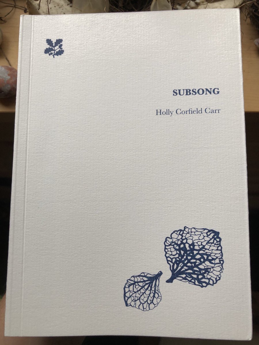 readinganimal's tweet photo. Received this remarkable collection of poems, field notes and songs on Friday from @hollycorfield. Subsong is beautiful book in every sense. The perfect companion for a walk in any wood or a rainy day by a window with a view. Thank you, Holly. It’s a wonder! @NTBooks https://t.co/qc0L1Qiol0