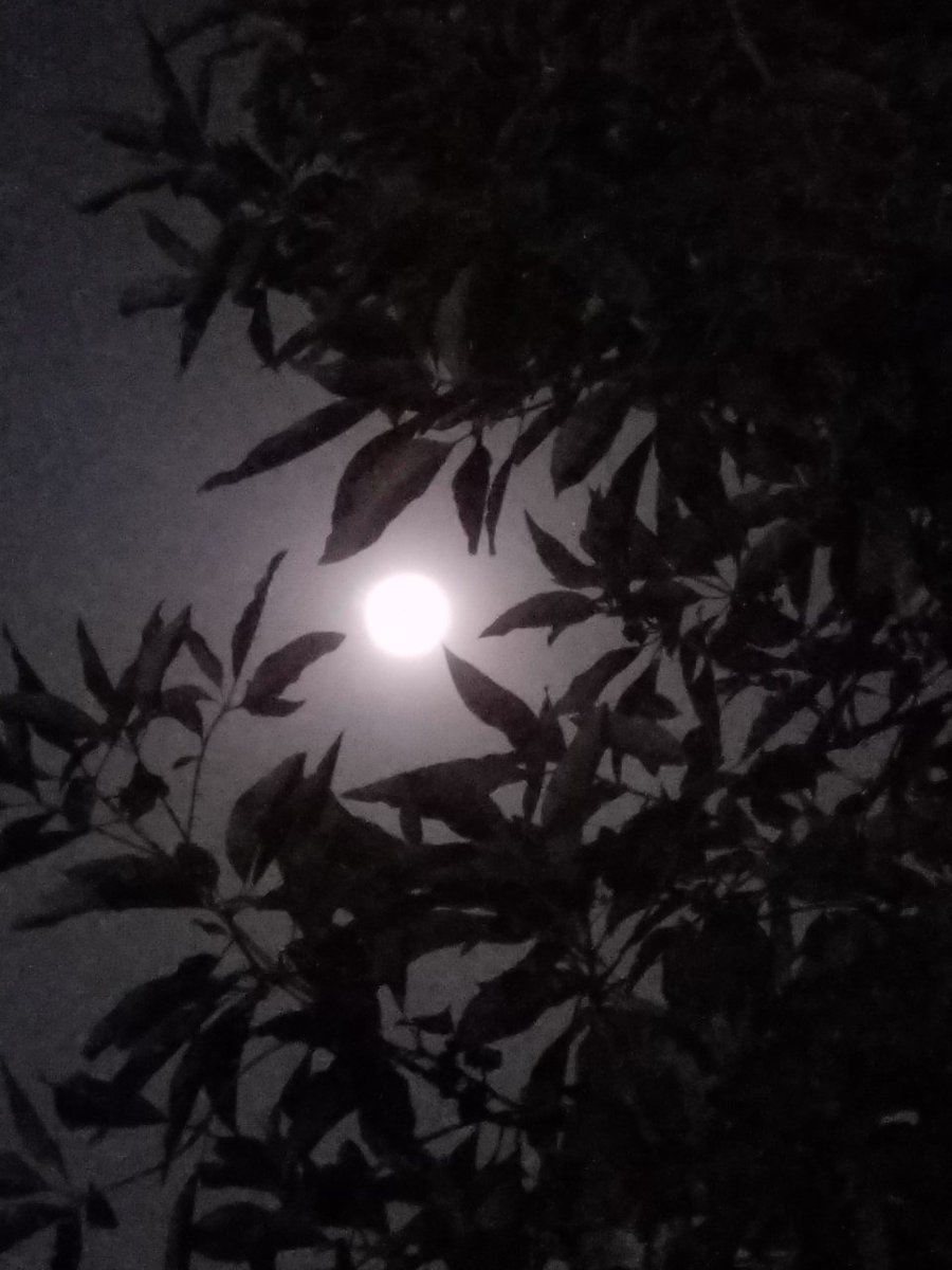 MoonMusicMan's tweet photo. #Free #Kindle Today (thru Tuesday) Love-Romance Fantasy-Paranormal. Believe in Magic!
https://t.co/zdaQsBiLLq https://t.co/7ReilnO5De