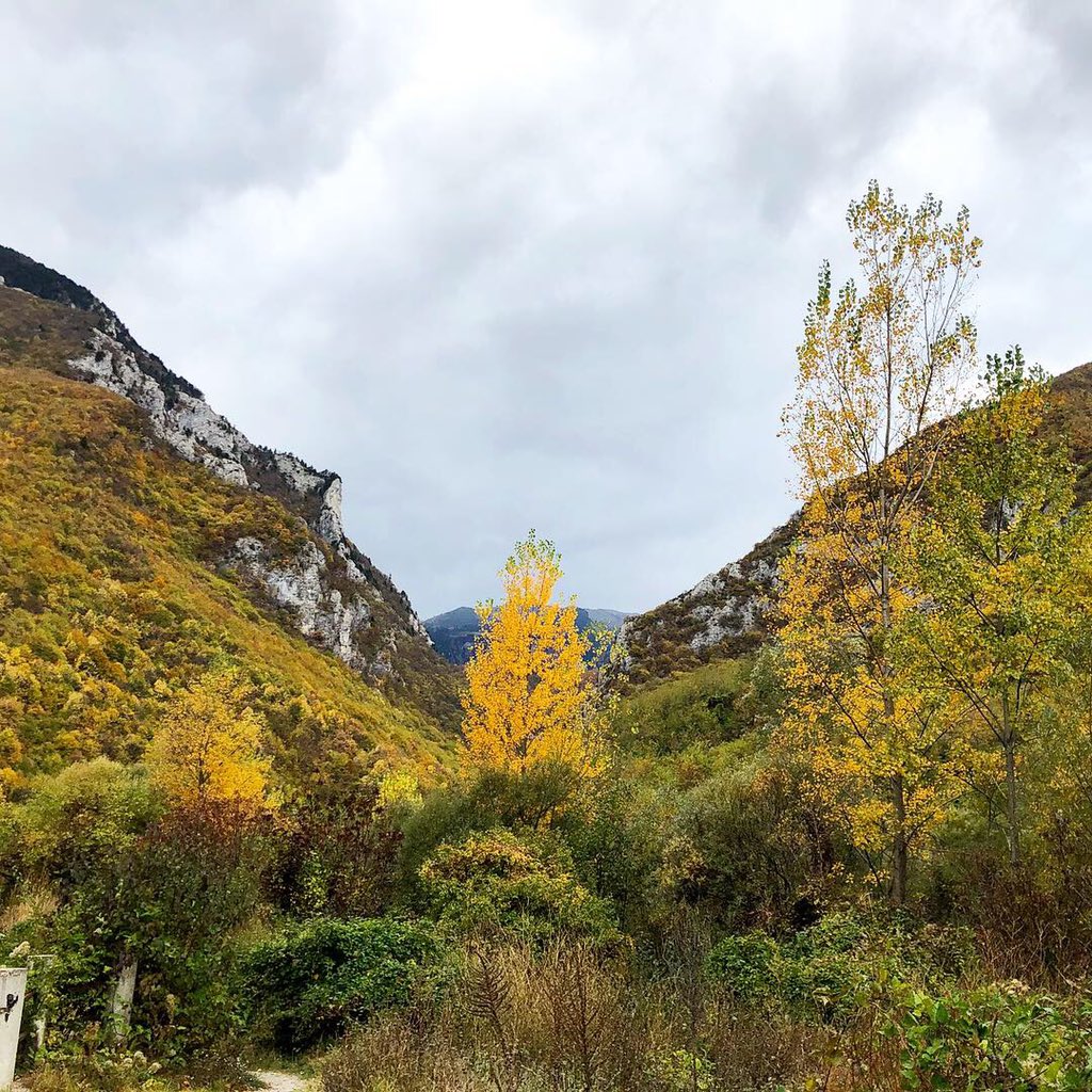 Amb_LenditaH's tweet photo. #Sunday motivation #fallcolours - walking around my hometown 
#peja #kosovo #UnbeleafableFall #foliage https://t.co/g3336dxJVa