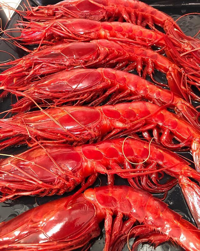eatsaboutfood's tweet photo. Los domingos fríos y lluviosos se llevan mejor en casa con buena compañía... Y si son con estos carabineros de dos palmos delante pues mejor! 😜 #Carabineros #Ceuta #SinFiltros #Foodie #EaFoodatHome https://t.co/rr8Zk5vzwz