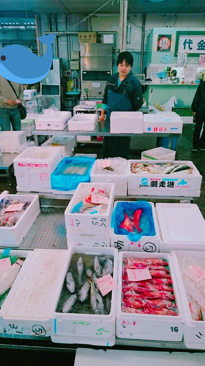 八王子魚市場