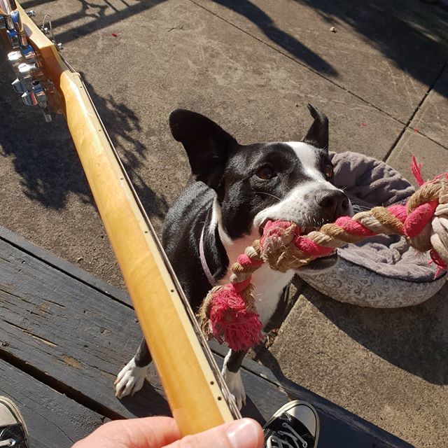 orsomewelles's tweet photo. Someone wants to help write!

Nose to the grindstone here at OWHQ and we are planning some exciting things.

Keep an eye out here and on our FB for updates and announcements! https://t.co/eTJ4LTmzxR https://t.co/IsjzvgxCMi