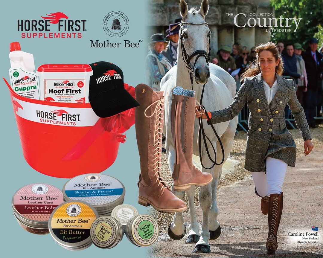 🍂🍁WINTER GIVEAWAY! 🍁🍂 <a href="/horsefirst/">Horse First Winners</a> are proud to announce, in collaboration with <a href="/tredstepireland/">Tredstep Ireland</a> and <a href="/Mother_Bee/">Mother Bee</a> our best giveaway to date! Head over to facebook.com/horsefirst/ to enter #horsefirstsupplements #tredstep #motherbee #giveaway #competition #win #prizes