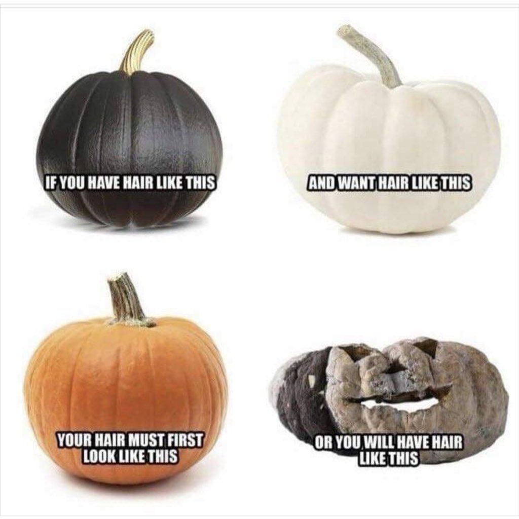 Halloween 🎃 👻 Hair 💇🏼‍♀️ facts...  #halloween #hair #halloweenhair #hairhumor #myhky #hky #hickorync #hickory #oakwood #oakwoodnchistoricdistrict #halloweenhickorync #hairsalon #spa #dayspa #blonde #blondehair #pumkin #hairbleach #olaplex #hairlightening #balayage #noorangehair