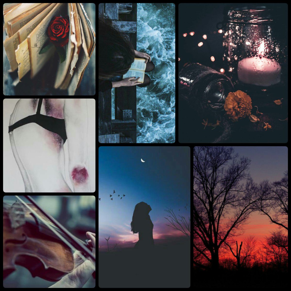 ꧁ℋ𝑒𝑙𝑣𝑒𝑛꧂ tweet media