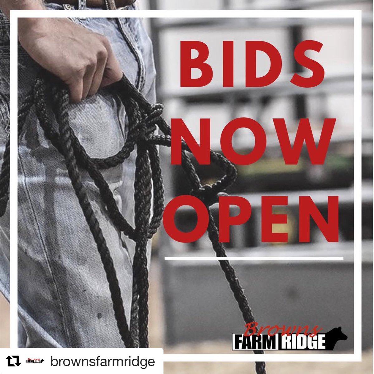 brownsmarketing's tweet photo. #Repost @brownsfarmridge with @get_repost
・・・
BIDS NOW OPEN!!! Sale ends tomorrow night 10/29 at 8pm est on https://t.co/B2Xt0Dl8dy #diamonds4thebackdrop #teambfr #stockshowlife #bannerchasing https://t.co/6pu2bnJCE2