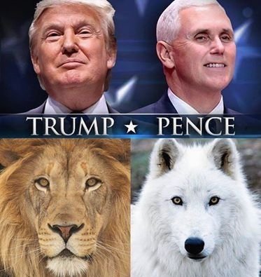 Kimberly Cooper (@itsmekimi1) on Twitter photo 