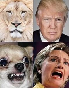 Ella Isaac (@madeincharms8) on Twitter photo 