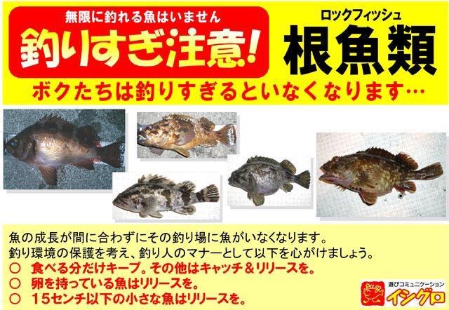 TakoDaiwaLove's tweet photo. 協力お願い致します。
※画像は拾いました。 https://t.co/HlPXZHzeTH
