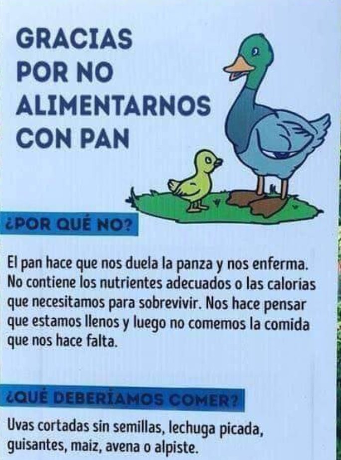 IESvaldesparteraSalud tweet media