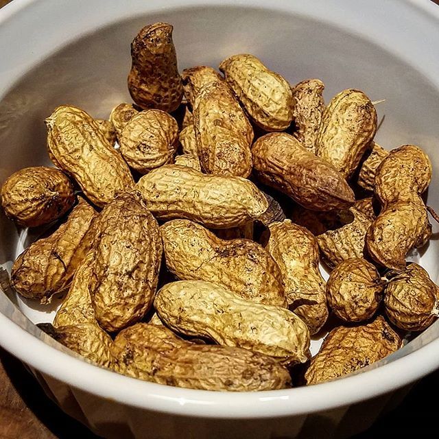 lhedger's tweet photo. My entire peanut crop, roasted. Yum. #peanutupdate #betterlucknexttime https://t.co/dK9rElYMzL https://t.co/jTwnxTzctB