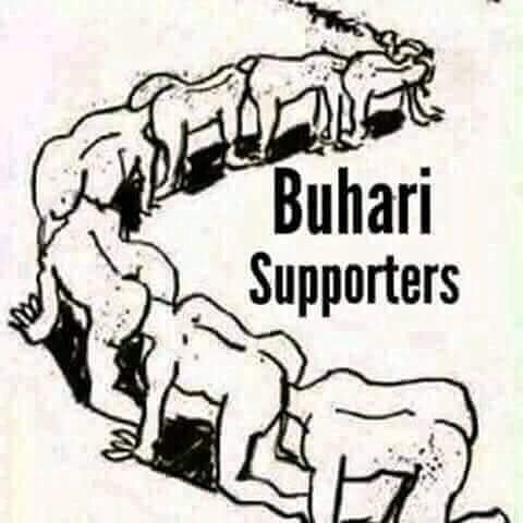 Demoore90210's tweet photo. @chuksdespaceman @Drkool0707 @dondekojo @Shalomttheo Lol...very difficult. They’re like this... https://t.co/bEjEQTJ9EO