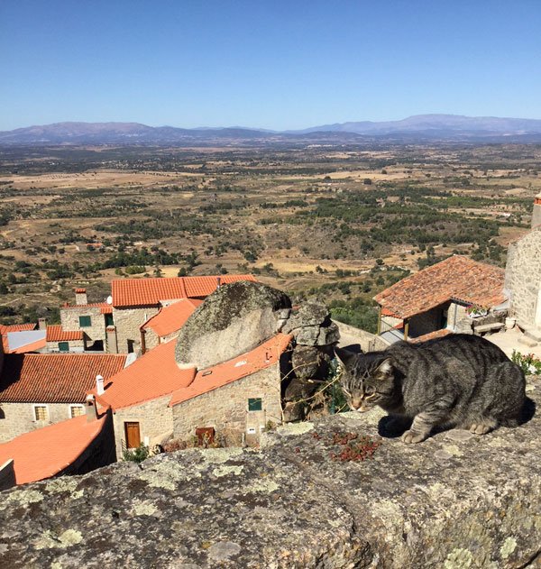 松崎有理（作家）公式 on Twitter 