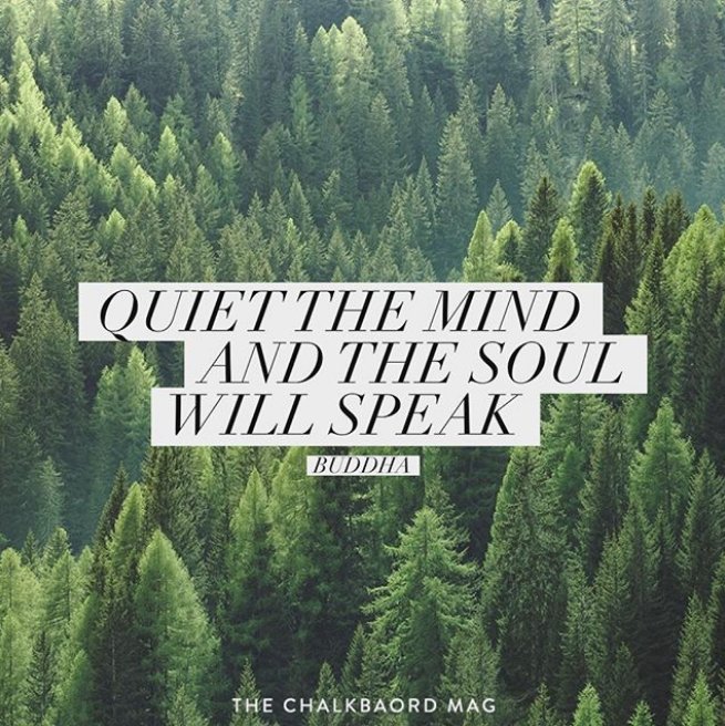 chalkboardmag's tweet photo. Always. https://t.co/l8fzoJTyeV