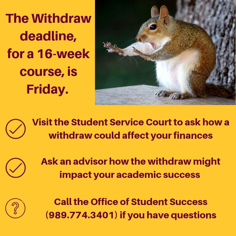 Student Success (@cmu_oss) on Twitter photo 