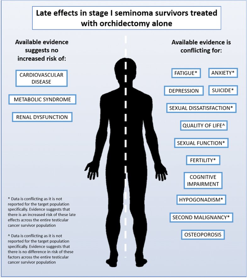 Just published #systematicreview of #lateeffects in #testicularcancer survivors, although conclusions limited by a lack of data on the specific target population (men treated for stage I seminoma with orchidectomy alone) rdcu.be/bagOF