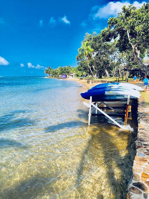 It's an Ocean kind of day here at The Naviti Resort
#ClearWaters
#oceanismyfriend
#ontheroad
#wherehappinessfindsyou
#warwicknaviti
#navitiresortfiji