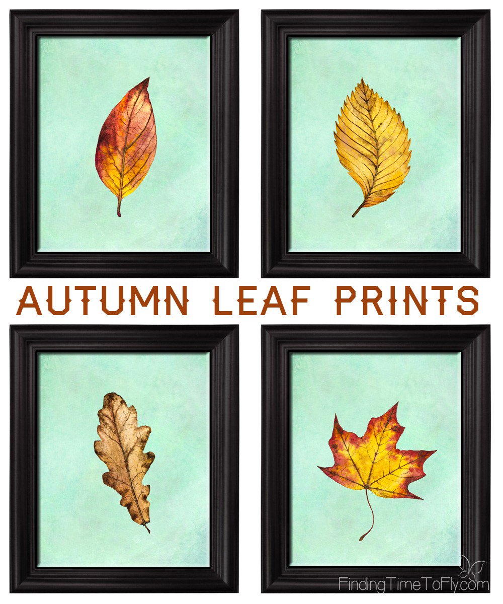 MissMelisha's tweet photo. Autumn Leaf Prints https://t.co/qF7NcAidVu https://t.co/W3hOcokKQL