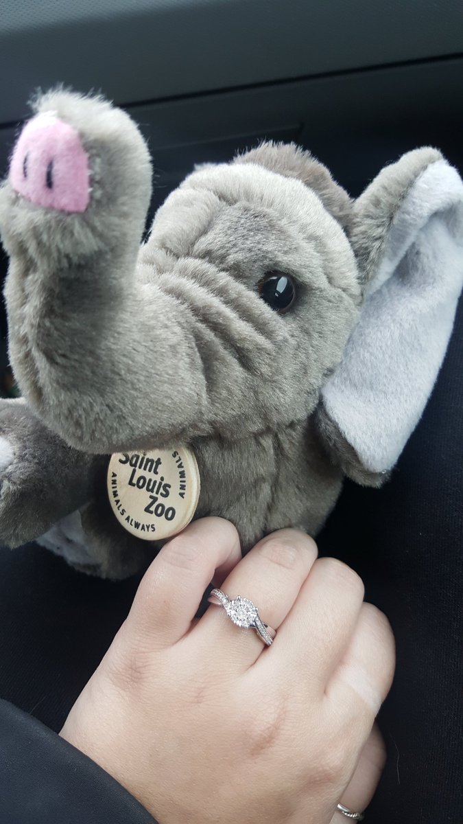 LivTitus's tweet photo. St. Louis now holds a very dear place in my heart. I got to go to the zoo, see my favorite band for the first time in 10 years, and I got to do it with my favorite person in the world. He proposed to me on our way home. This weekend wouldn't have been possible without @LudoRock https://t.co/o7owoRNU98