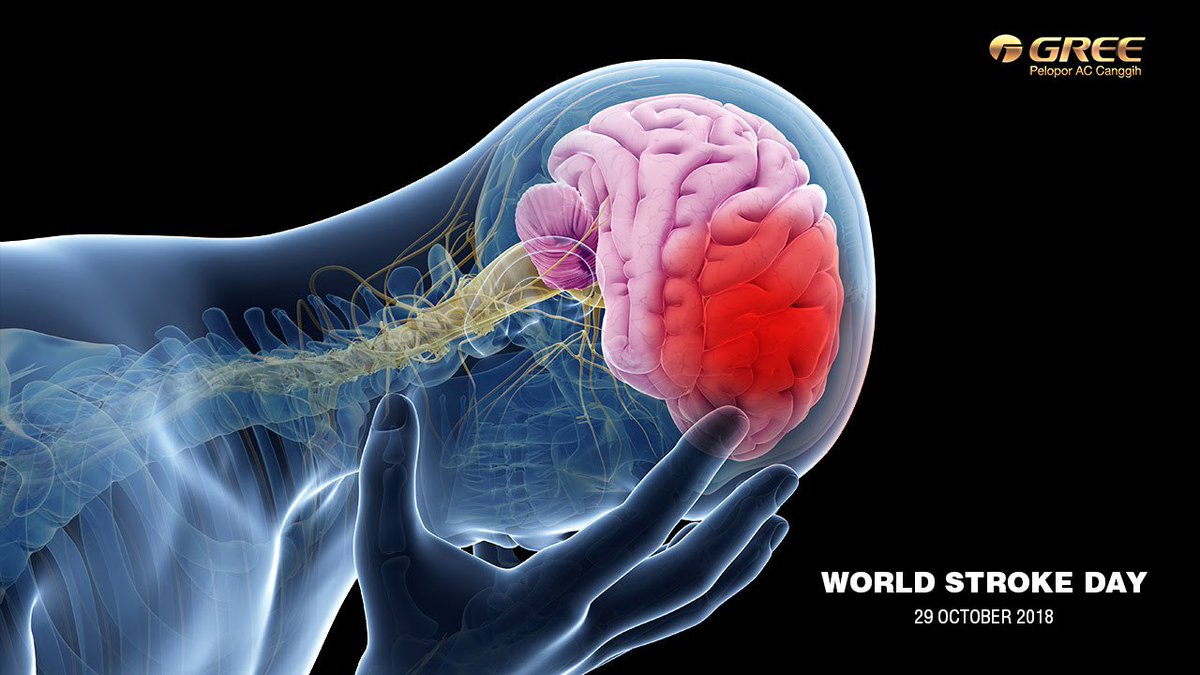 #TahukahKamu hipertensi merupakan faktor penyebab stroke yang utama. Berbagai penelitian menyebutkan 60-70 persen pasien stroke menderita hipertensi pada saat masuk RS.
#WorldStroke Day #HariStrokeSedunia