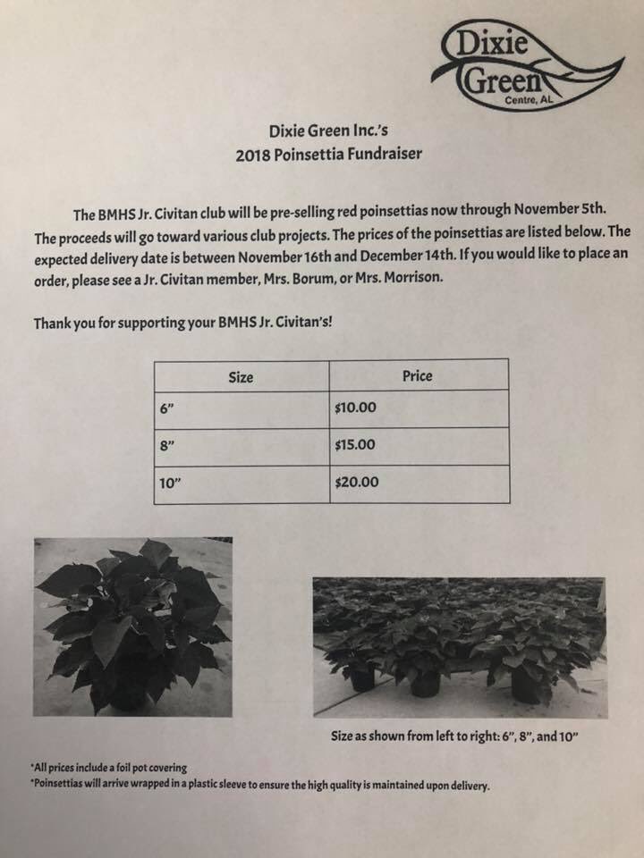 4amcculloch's tweet photo. Support the BMHS Jr Civitans and order your holiday poinsettias!!! #golions https://t.co/jPhXoPVluL
