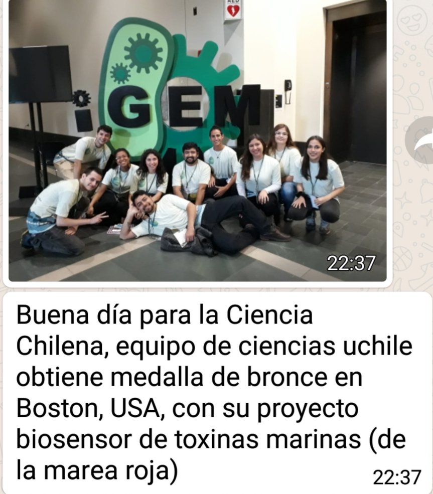 JorgeBabul's tweet photo. El grupo de @Uchile_Biotec https://t.co/OC1RqQJPjC