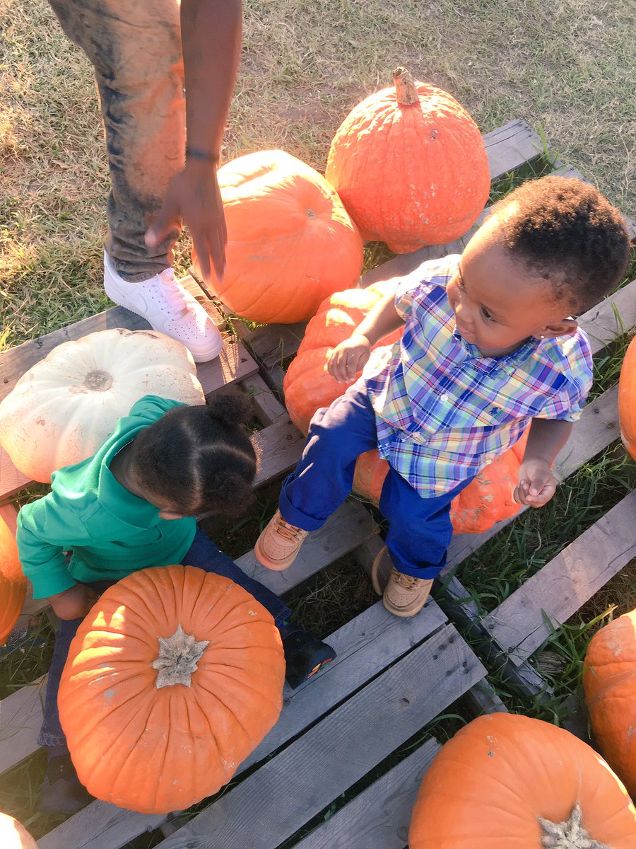onlybabygirrl's tweet photo. #Bloopers #pumpkinpatch2018 w/ the Wrights 👨👩👦👦🎃 https://t.co/LBmpWgmvvy