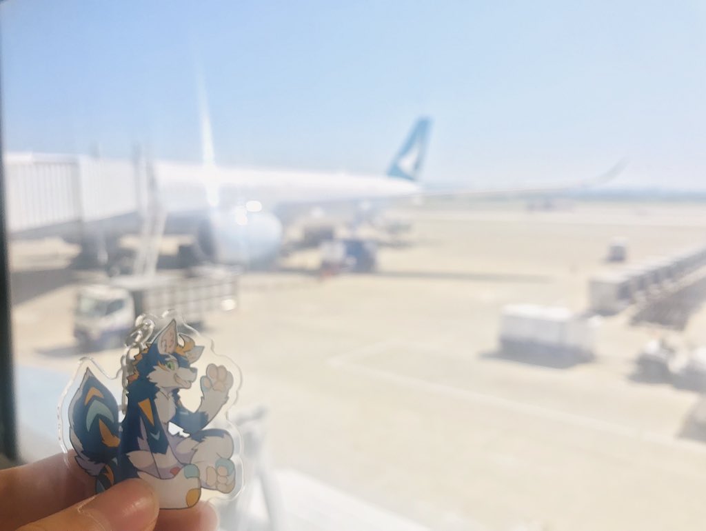 hiro_rion_'s tweet photo. Infurnityお疲れ様でした! 一週間前に行きたい…!ってなってしまってそのままの流れで当日参加してきました!
もう色んなことが新鮮でとてもいい経験ができたと思います! またお会いしましょう! (謝謝!再見吧!)
#Infinity2018 https://t.co/wQRdLf7IeB