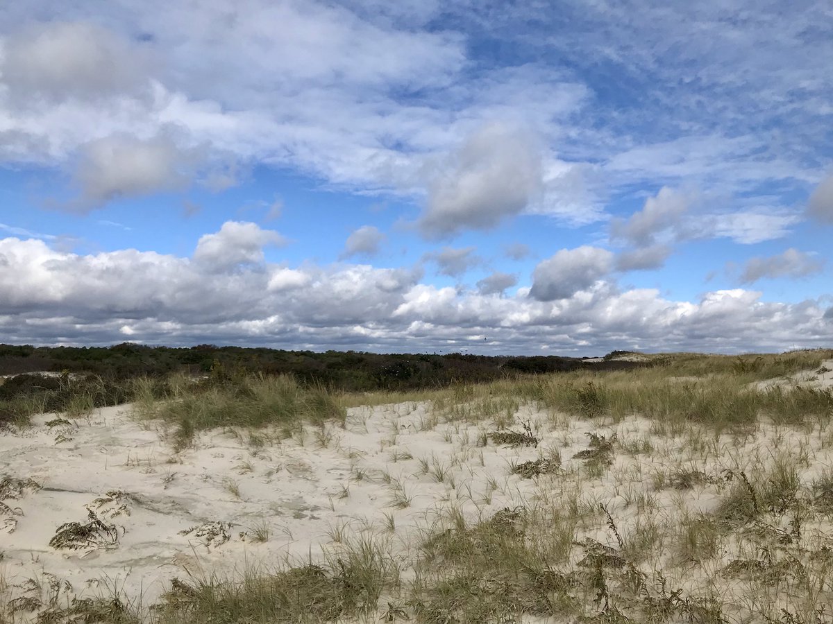 SBeckerEES's tweet photo. A beautiful day at Island Beach State Park recording beach vegetation cover and taking cores from the salt marsh. Fun fact- beach grass grows taller when you throw sand at it! #ees152 https://t.co/x9gIzfJQai