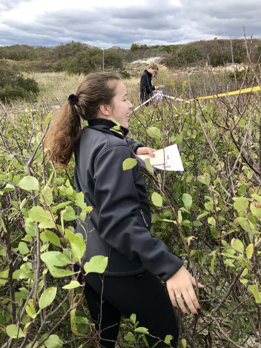 SBeckerEES's tweet photo. A beautiful day at Island Beach State Park recording beach vegetation cover and taking cores from the salt marsh. Fun fact- beach grass grows taller when you throw sand at it! #ees152 https://t.co/x9gIzfJQai