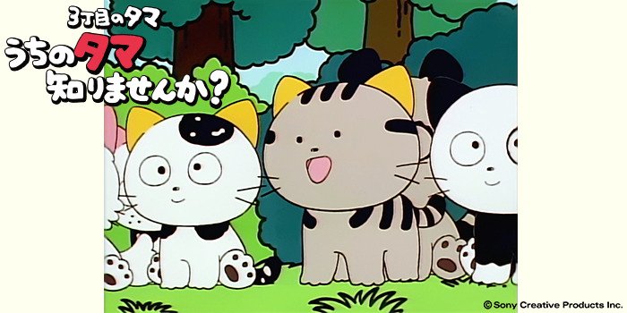 チバテレ 公式 今日は月曜日 タマの日 17 30 3丁目のタマ うちのタマ知りませんか 本日は第話の放送です さまよえる首輪 デビル ポチの伝説 首輪をさがしてさまよう幽霊の話を友達にきいたタケシくん チバテレ 3丁目のタマ 月曜日